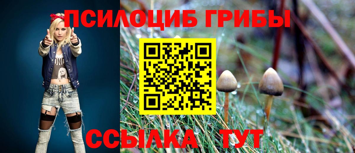 Магнитогорск  Псилоцибиновые грибы прущие грибы  Вход с VPN 